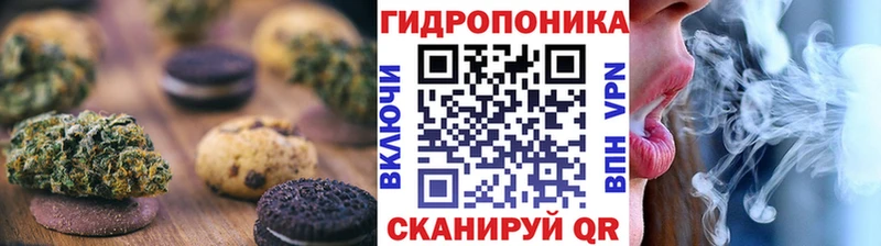 blacksprut ТОР Балашов Печенье с ТГК конопля