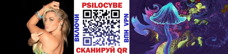 Псилоцибиновые грибы прущие грибы  где найти   Балашов 